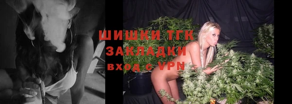 гидра Алексин