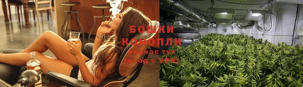 гидропоника Алзамай