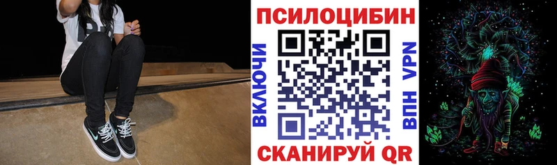 Галлюциногенные грибы GOLDEN TEACHER  наркота  Новотитаровская 